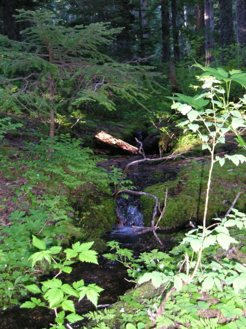 6.24-25.06 Memaloose Lake 123 